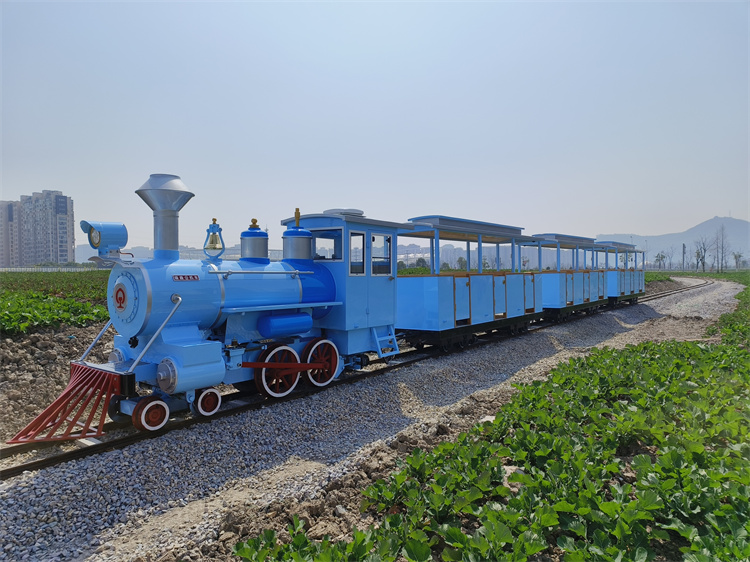 36座卡通小火車（浙江樂清現(xiàn)代農(nóng)業(yè)公園）